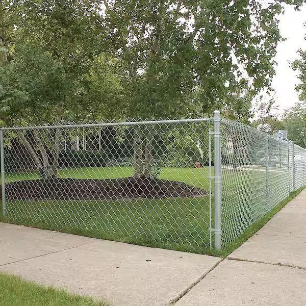A galvanized chain link fence running along a sidewalk past a large tree.