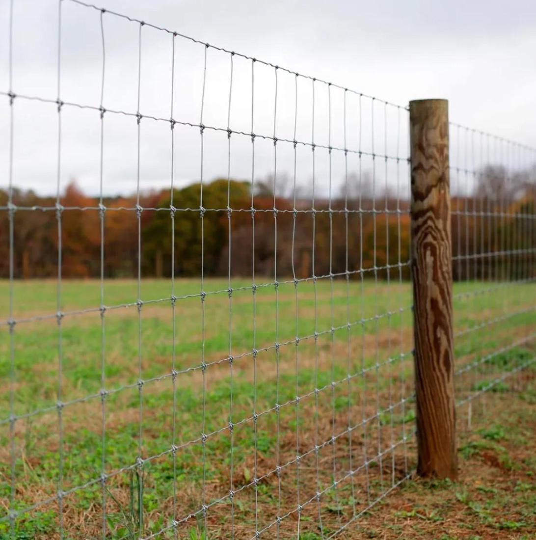 Woven wire field fencing stretched on wooden posts across a pasture.